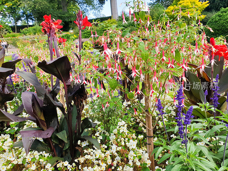 Beautifully planted summer  flowers growing in Public park in Shrewsbury Shropshire a splash of colour that cheers up anyone’s day.